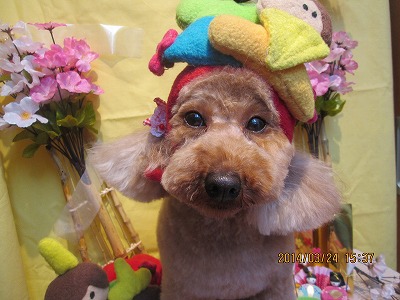 ファイル 7385-2.jpg