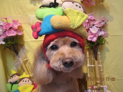 ファイル 7386-2.jpg