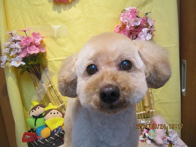 ファイル 7387-1.jpg