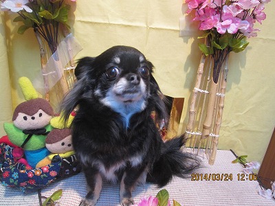 ファイル 7389-1.jpg