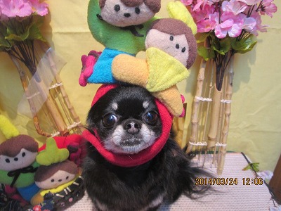 ファイル 7389-2.jpg