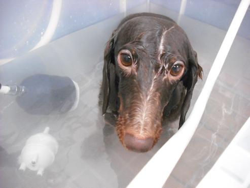 ファイル 739-2.jpg