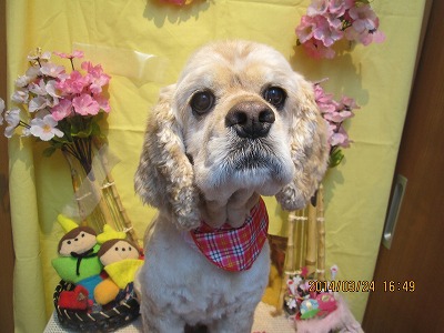 ファイル 7390-1.jpg