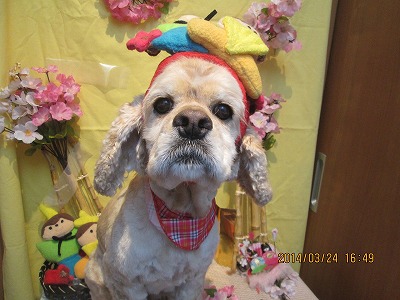 ファイル 7390-2.jpg