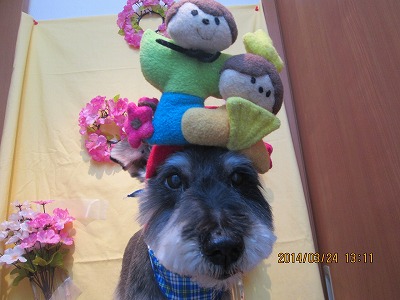 ファイル 7391-2.jpg