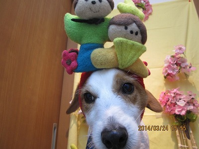 ファイル 7392-2.jpg