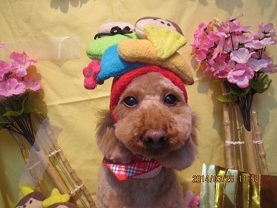 ファイル 7395-2.jpg