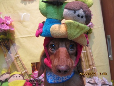 ファイル 7396-2.jpg