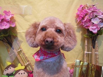 ファイル 7397-1.jpg