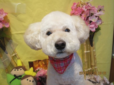 ファイル 7398-1.jpg