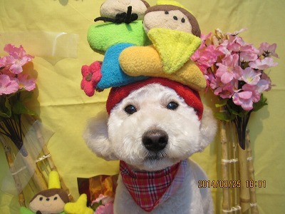 ファイル 7398-2.jpg