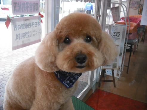 ファイル 74-1.jpg