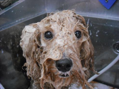 ファイル 74-2.jpg