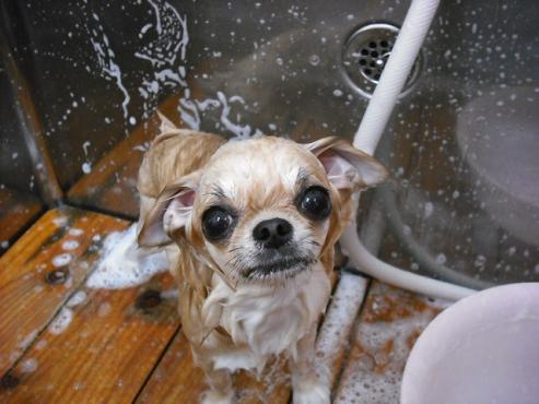 ファイル 740-2.jpg