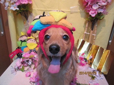 ファイル 7403-2.jpg