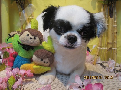 ファイル 7404-2.jpg