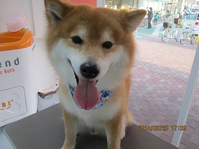 ファイル 7405-1.jpg