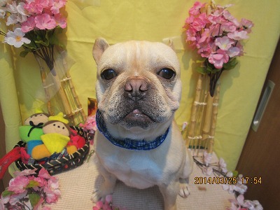 ファイル 7406-1.jpg