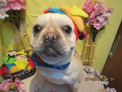 ファイル 7406-2.jpg