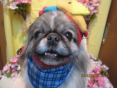 ファイル 7407-2.jpg