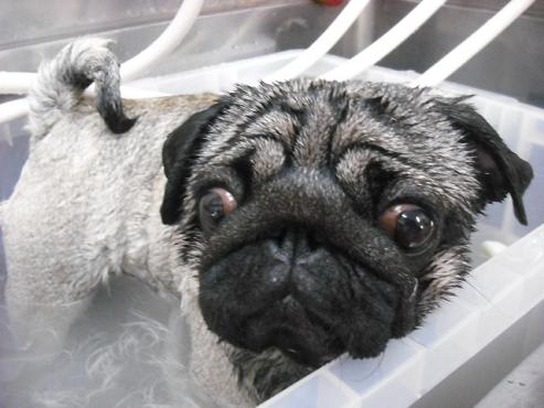 ファイル 741-2.jpg