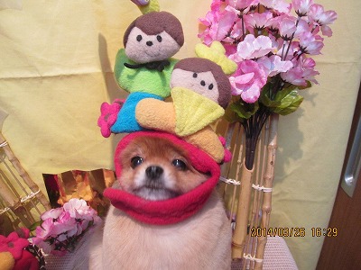 ファイル 7412-2.jpg