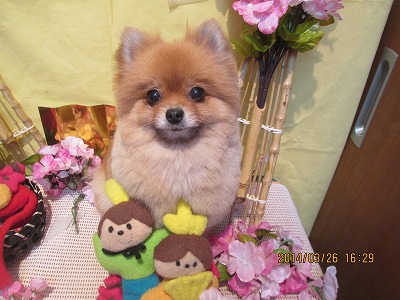 ファイル 7412-3.jpg