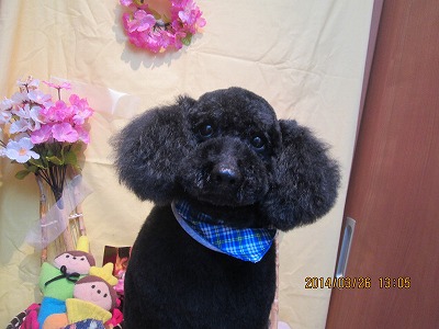 ファイル 7413-1.jpg