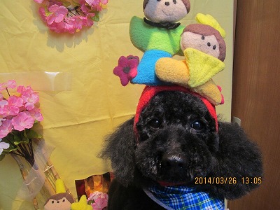 ファイル 7413-2.jpg