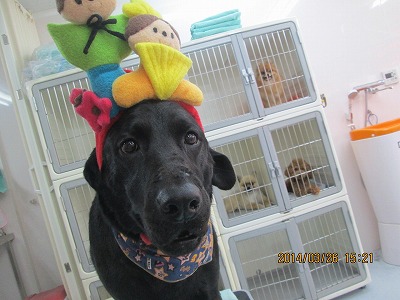 ファイル 7414-2.jpg