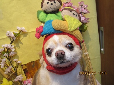 ファイル 7415-2.jpg