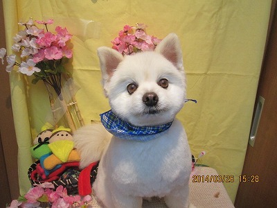 ファイル 7417-1.jpg