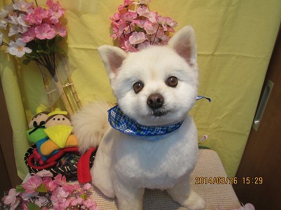 ファイル 7417-2.jpg