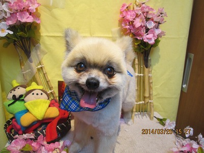 ファイル 7418-1.jpg