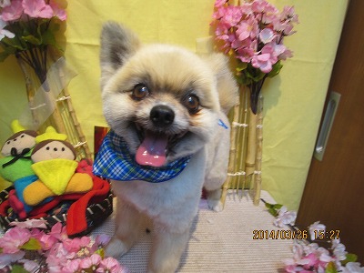 ファイル 7418-2.jpg