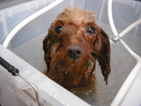 ファイル 742-2.jpg