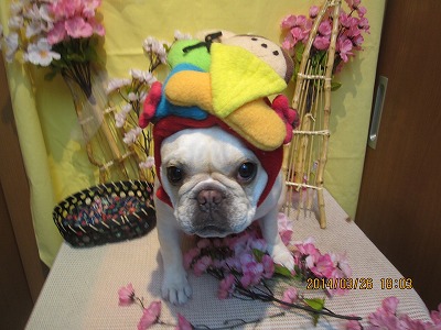 ファイル 7420-2.jpg