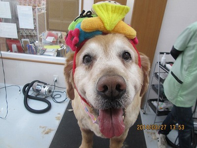 ファイル 7421-1.jpg