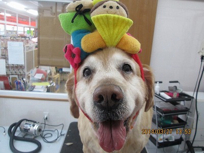 ファイル 7421-2.jpg