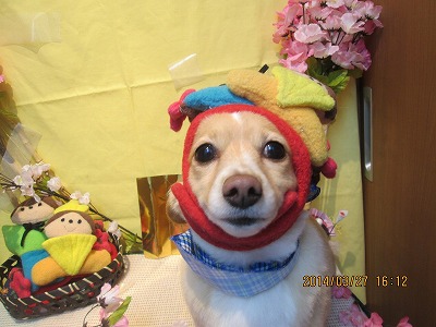 ファイル 7422-2.jpg