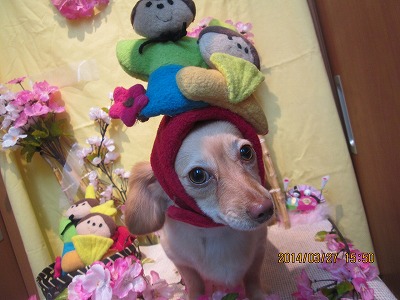 ファイル 7423-2.jpg