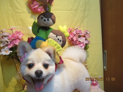 ファイル 7425-2.jpg