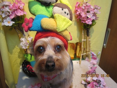 ファイル 7426-2.jpg