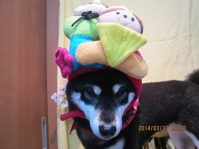 ファイル 7427-2.jpg