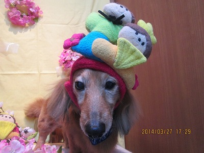 ファイル 7428-2.jpg