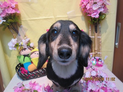 ファイル 7429-1.jpg