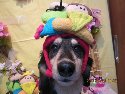 ファイル 7429-2.jpg