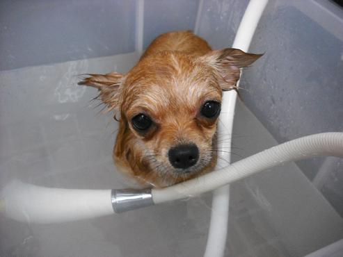 ファイル 743-2.jpg