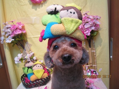 ファイル 7431-2.jpg