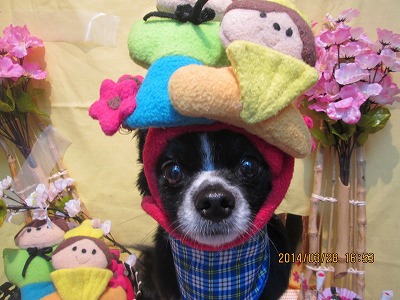 ファイル 7432-2.jpg